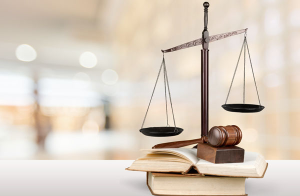 Legal Processes & Victims' Rights
